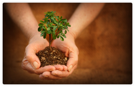 Partners of Sex Addicts Rebuilding and Healing